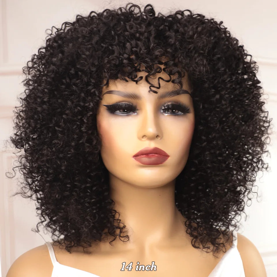 Big Curly Wig With Bangs Short Human Hair Afro Kinky Curly Wig Brown Color Glueless Full Machine Made Wig 250 Density Brazilian